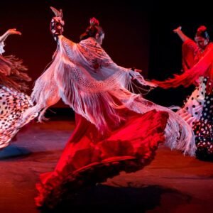 Animación en eventos privados